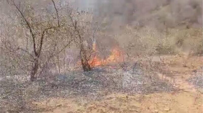 धौलपुर के सरमथुरा जंगलों में भीषण आग से तबाही, कई हेक्टेयर वन क्षेत्र जलकर खाक, घंटों मशक्कत के बाद भी हालात काबू से बाहर