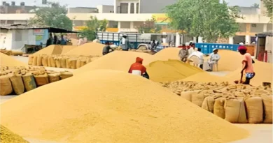 यूपी के 22 हजार किसानों को बड़ी राहत, अब बिना फार्मर रजिस्ट्री के भी बेच सकेंगे गेहूं, चकबंदी गांवों के लिए खास व्यवस्था लागू