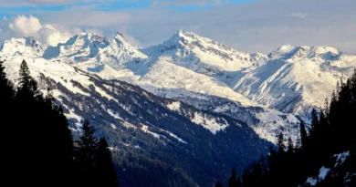 हिमाचल में अप्रैल में ही गर्मी का कहर, ऊना में पारा 42°C पार; चार जिलों में लू का अलर्ट, 28 अप्रैल से राहत के आसार