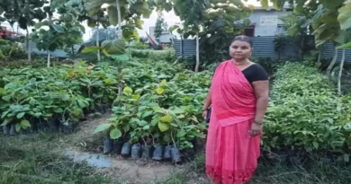 नालंदा की सुशीला देवी ने नर्सरी से बदली किस्मत, आत्मनिर्भरता के साथ पर्यावरण संरक्षण की बनीं मिसाल