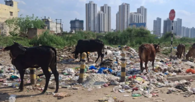 गुरुग्राम में कूड़ा प्रबंधन पर बड़ा दांव: 606 करोड़ के टेंडर जारी, 5 साल तक घर-घर होगा कलेक्शन और प्रोसेसिंग सिस्टम मजबूत करने की तैयारी