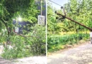 उत्तराखंड में आंधी-तूफान ने मचाई तबाही, आकाशीय बिजली गिरने से दो सगे भाइयों की मौत; 45 से ज्यादा पर्यटकों का रेस्क्यू