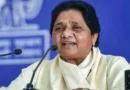 2027 फतह का नया फॉर्मूला! मायावती का OBC कार्ड, कार्यकर्ताओं को दिया जनाधार बढ़ाने का बड़ा मिशन