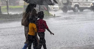 छत्तीसगढ़ में बारिश बनी आफत! उफान पर नदी-नाले, कई रास्ते बंद; IMD ने अगले 5 दिनों के लिए जारी किया अलर्ट