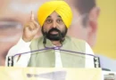 पंजाब में AAP सरकार का बड़ा फैसला, 17 मार्केट कमेटियों समेत कई बोर्ड और आयोगों में नई नियुक्तियां