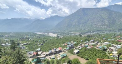 देवदार के जंगल, तीन झरनों की गूंज और पहाड़ी स्वाद का जादू… हिमाचल का जाणा गांव बना पर्यटकों की नई पसंद