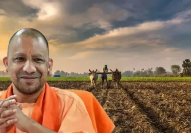 MSP पर यूपी ने बनाया नया रिकॉर्ड! धान के साथ बाजरा, ज्वार और मक्का खरीद से किसानों के खातों में पहुंचे 1.03 लाख करोड़ रुपये
