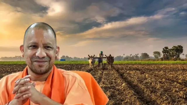 MSP पर यूपी ने बनाया नया रिकॉर्ड! धान के साथ बाजरा, ज्वार और मक्का खरीद से किसानों के खातों में पहुंचे 1.03 लाख करोड़ रुपये